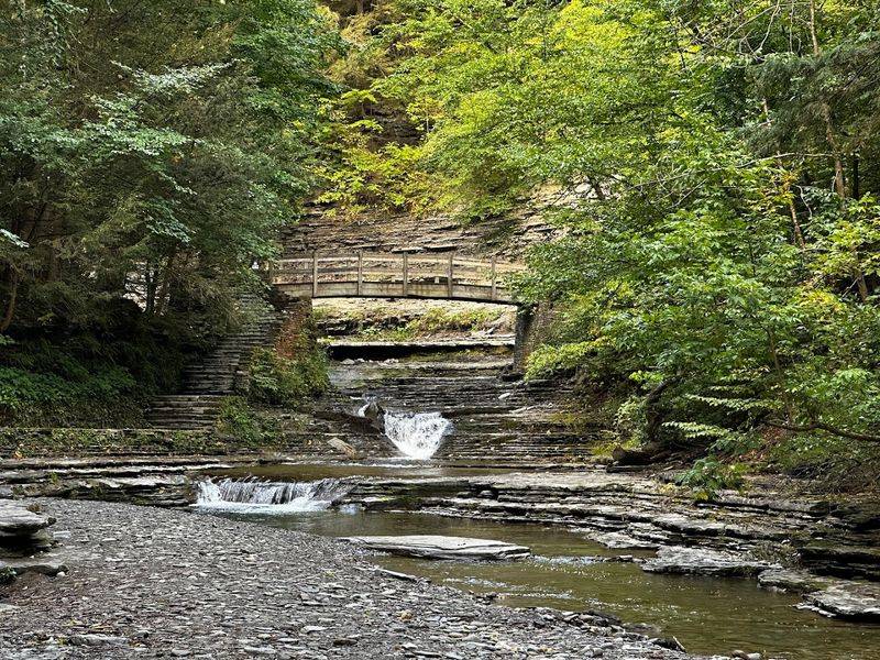 Stony Brook State Park (Dansville, Livingston County)