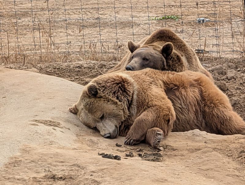 A Rescue Center For Animals Saved From Captivity