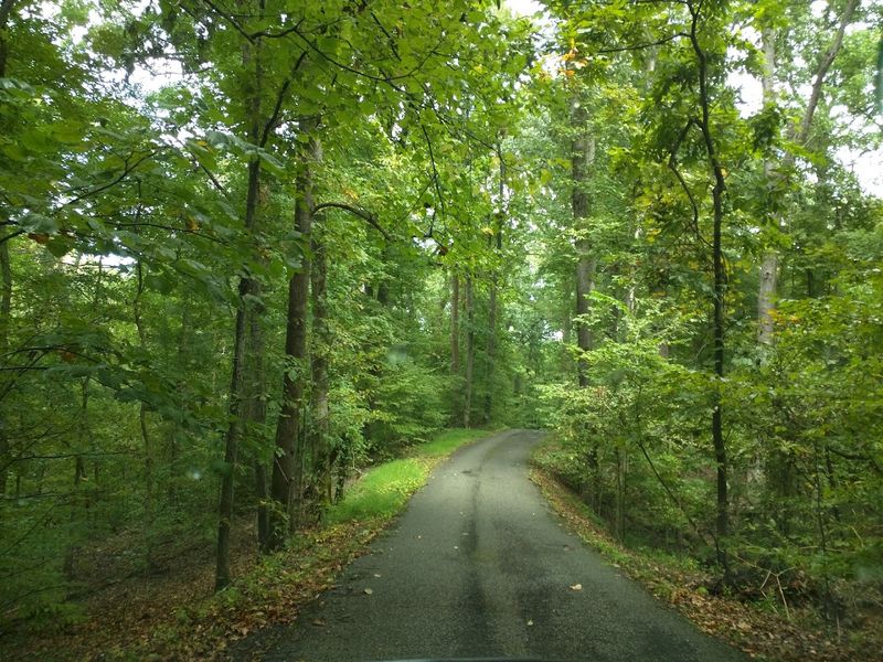 Meeman-Shelby Forest Woodland Trail, Millington