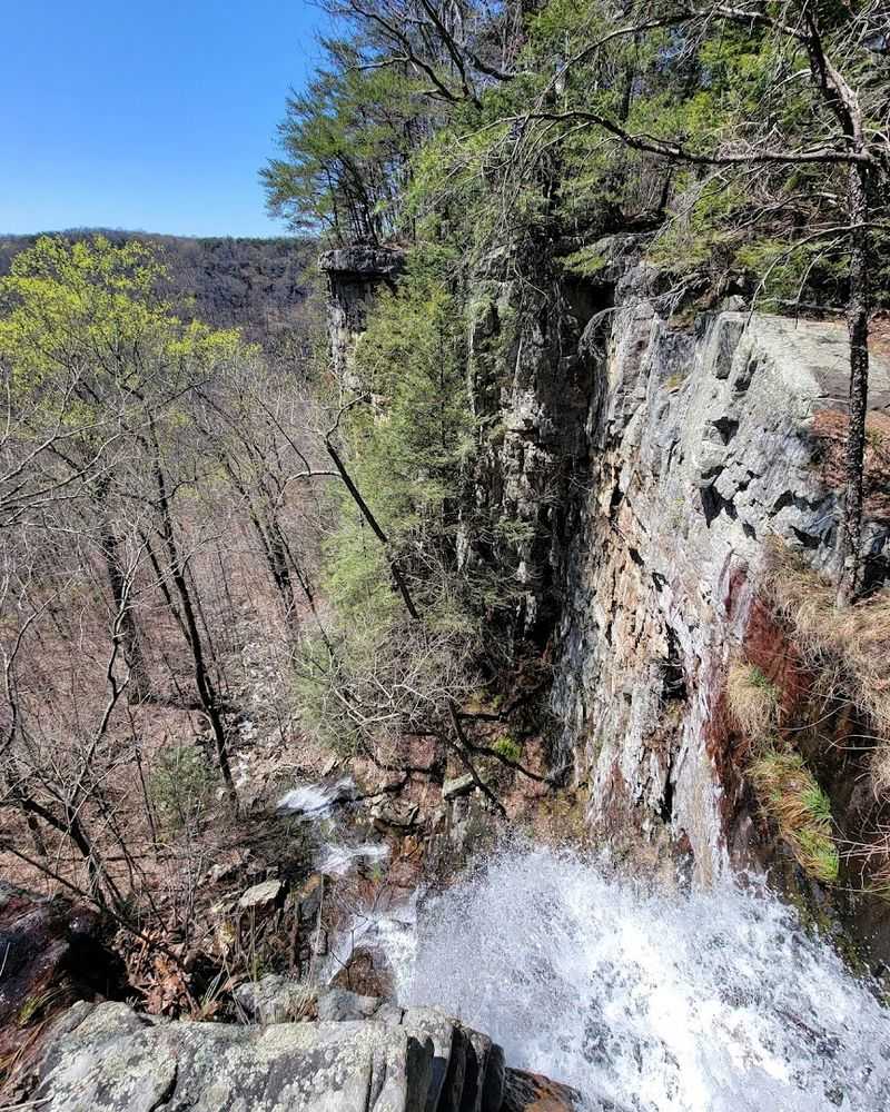 Fiery Gizzard Trail, South Cumberland State Park 
