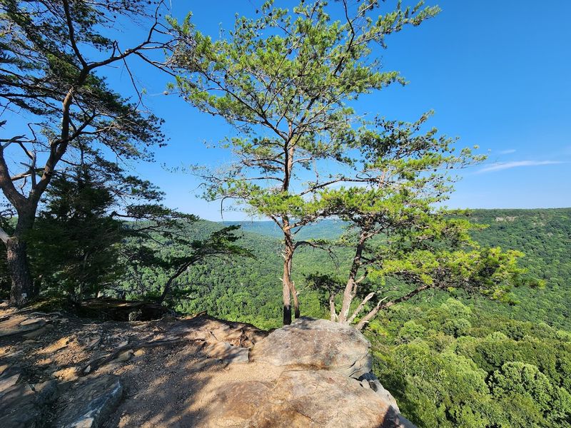 Camping At Savage Gulf: Sleeping Under Real Darkness