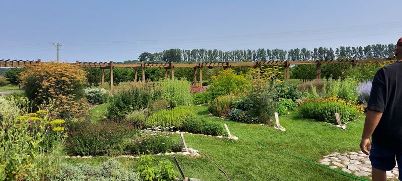 A Peaceful Path Visitors Can Walk From Start To Centre