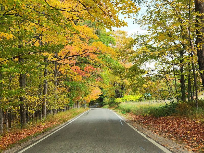 Tunnel Of Trees Scenic Heritage Route