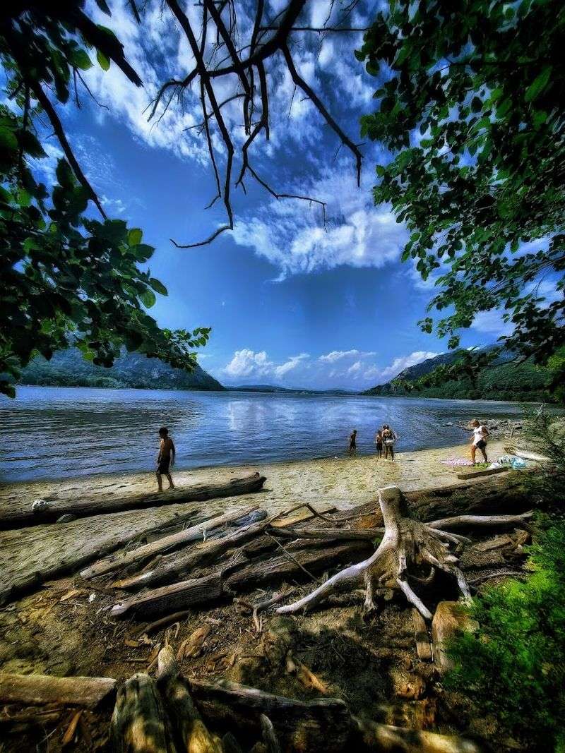 The Driftwood Beaches Nobody Talks About Enough