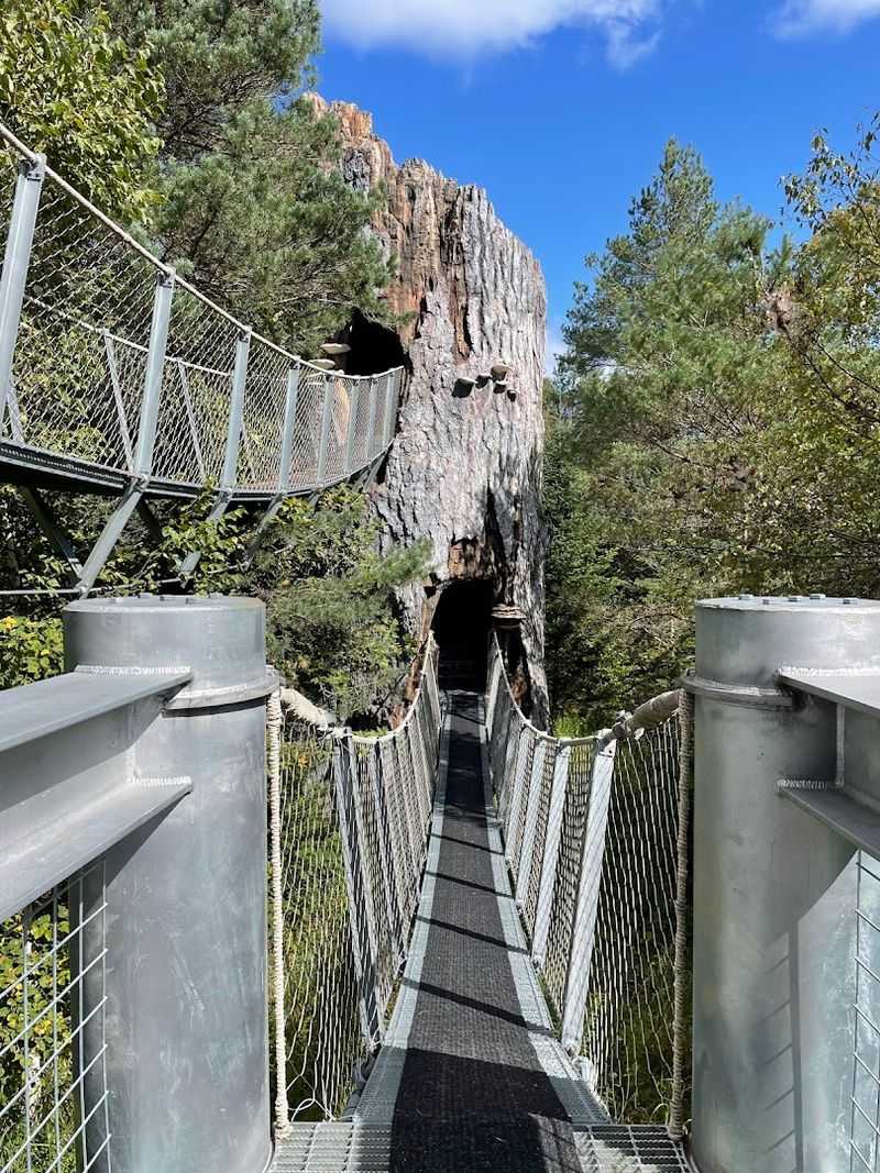 The Music Forest And Outdoor Trails Worth Every Minute