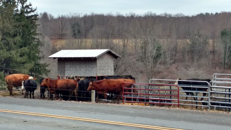 Why People Who Move Here Tend To Stay