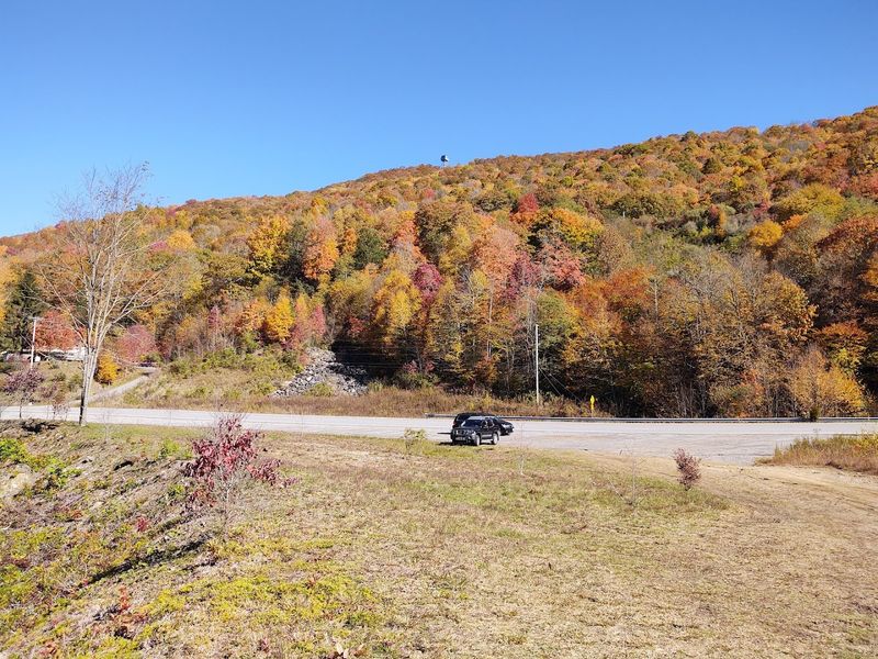 How Nature Has Taken Over The Park