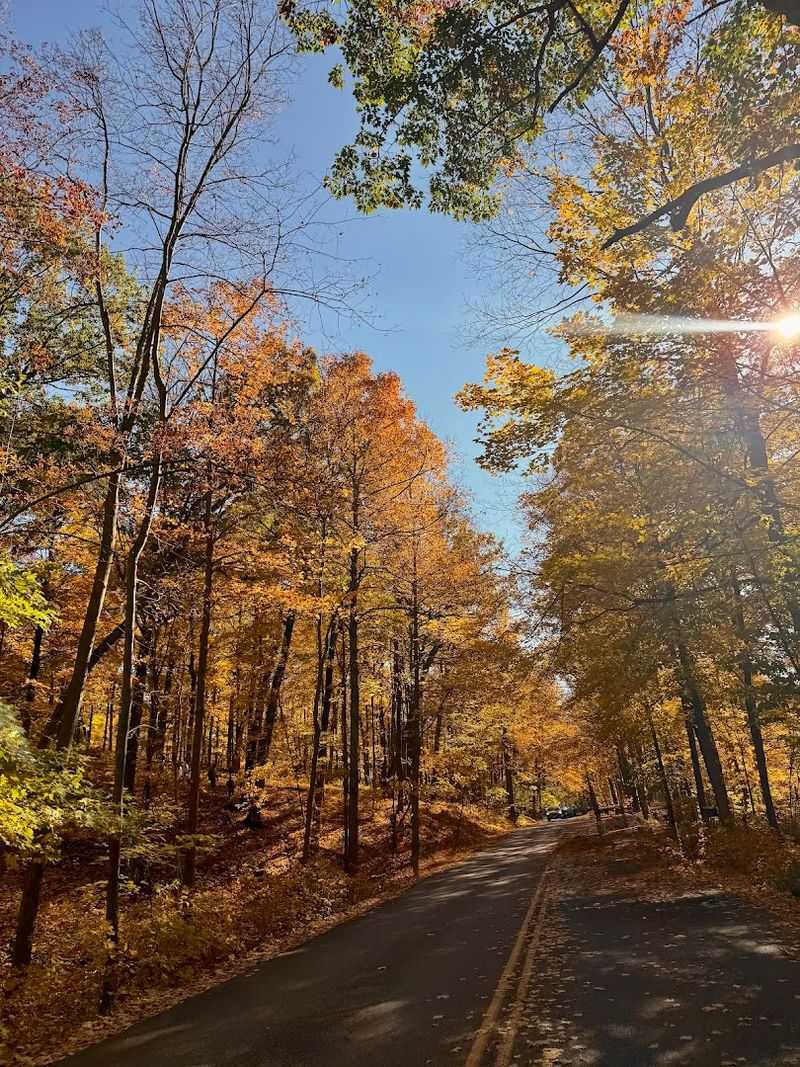 A Destination That Draws Visitors Year-Round