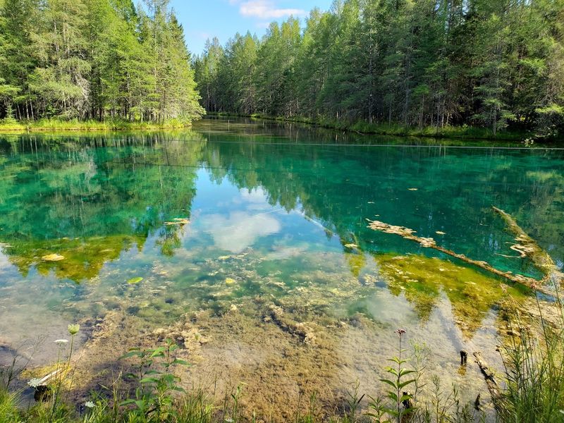Palms Book State Park