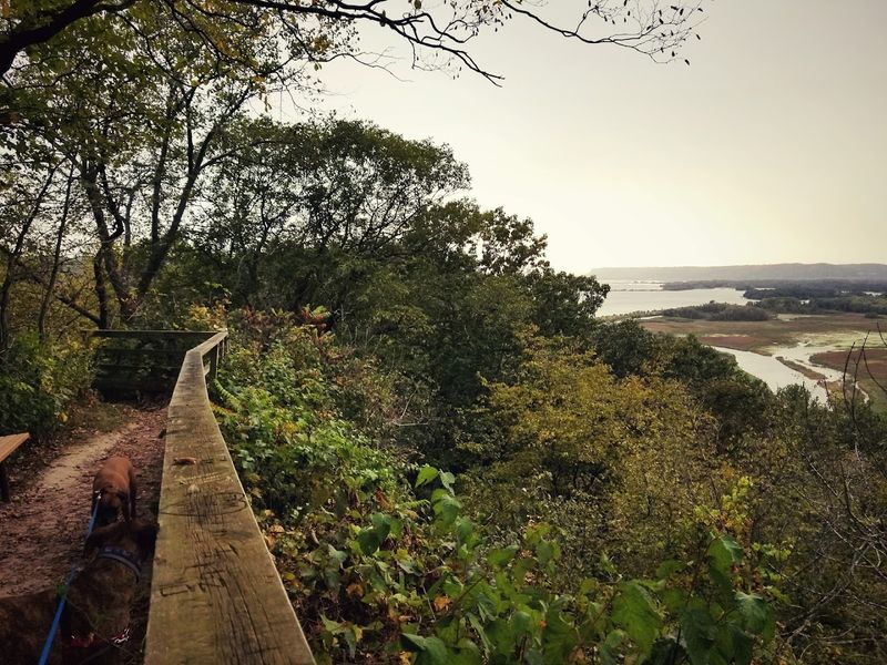 Standout Stop Along The Great River Road