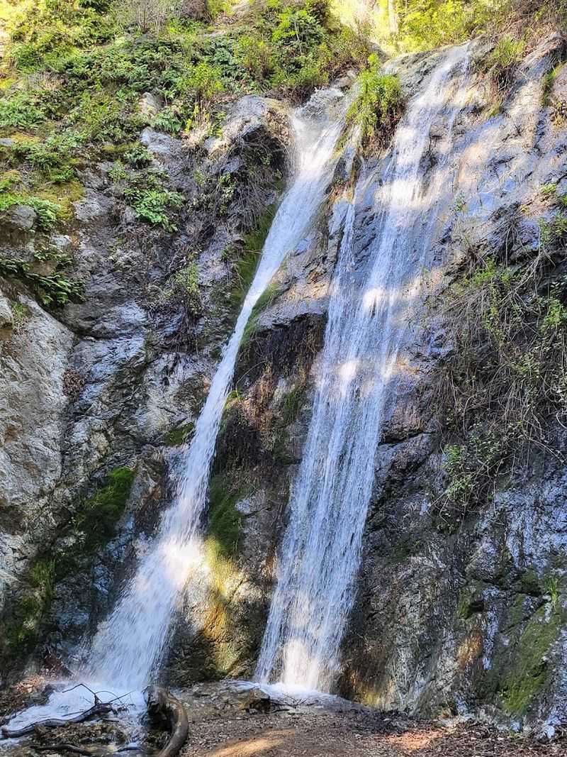 Pfeiffer Falls Trail (Pfeiffer Big Sur State Park)