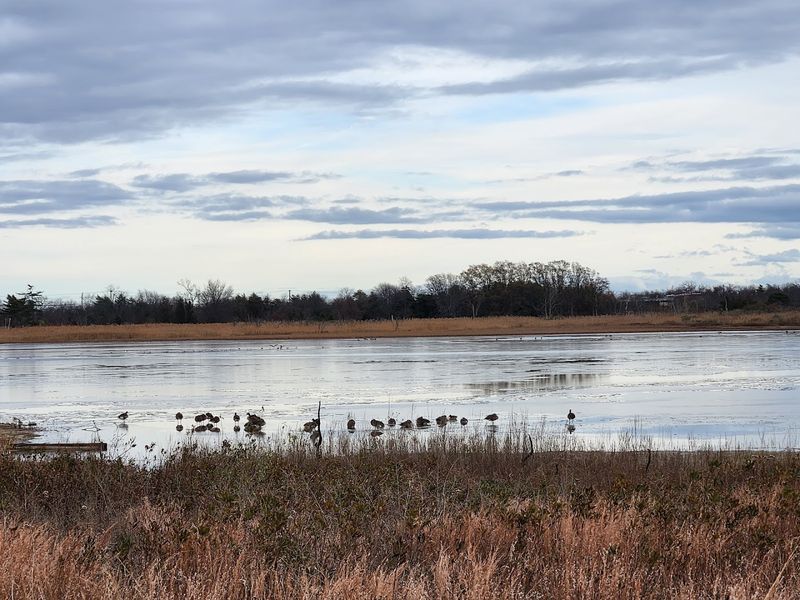 The Diverse Habitats That Support Over 330 Bird Species