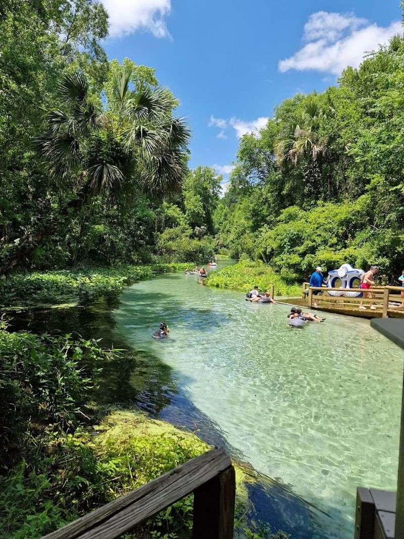 Why Rock Springs Is One Of Florida's Most Loved Natural Swimming Spots