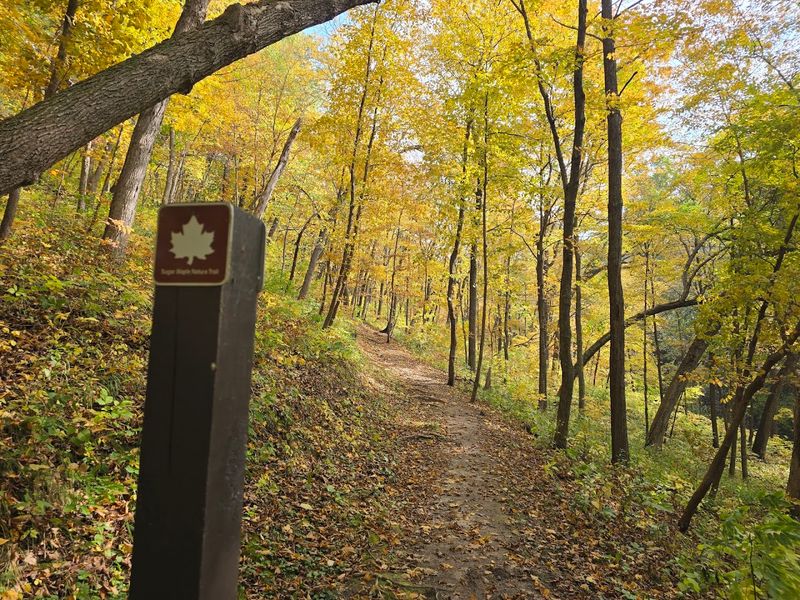 Sugar Maple Trail (Wyalusing State Park)