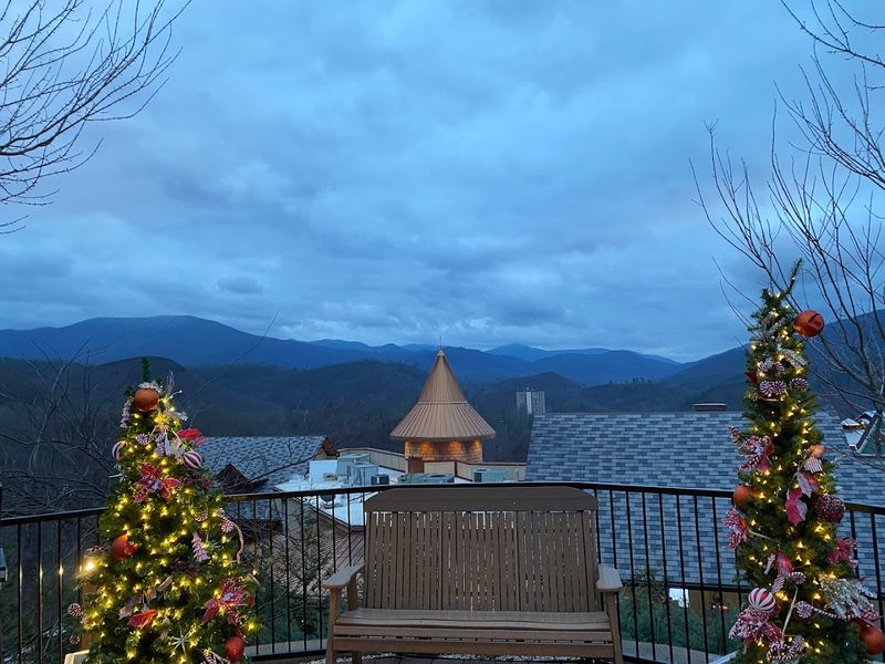 Astra Lumina Night Walk That Transforms The Forest After Dark