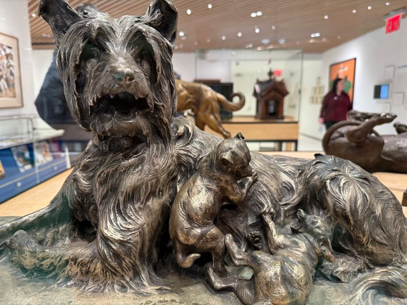 American Kennel Club Museum Of The Dog
