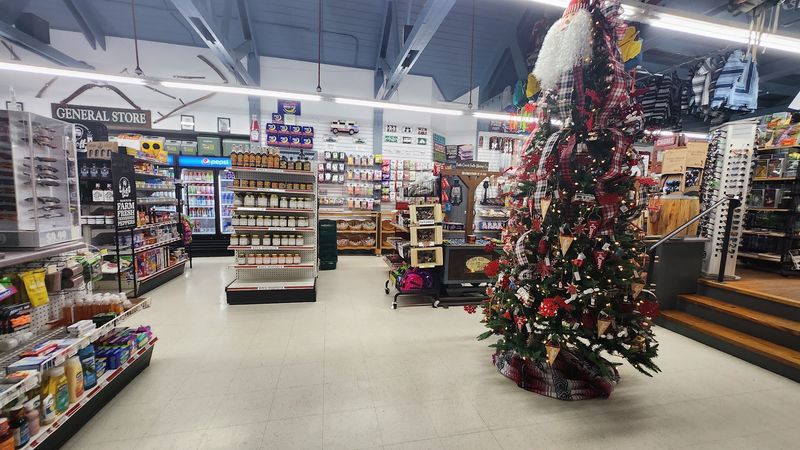 Fresh Produce In The Middle Of The Wilderness