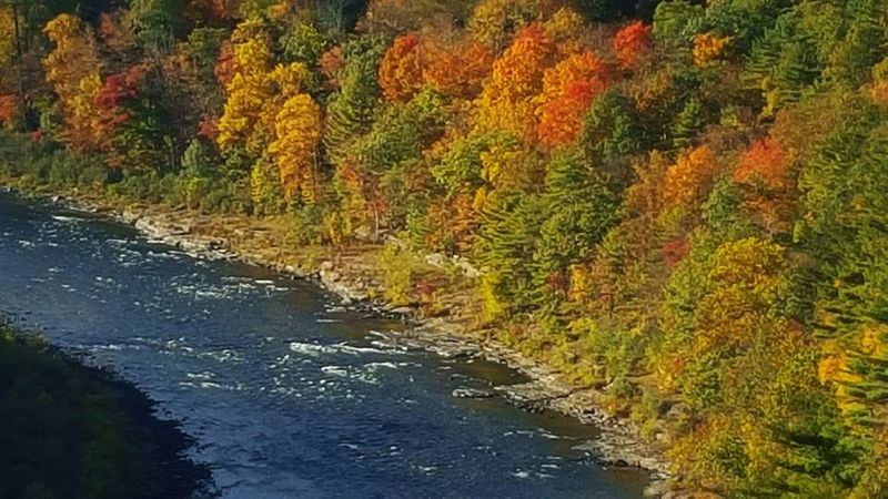 Fall Foliage Along The Byway: A Seasonal Event Worth Planning Around