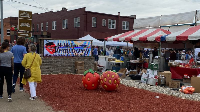 West Tennessee Strawberry Festival, Humboldt