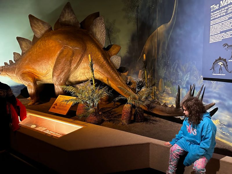 Interactive Exhibits For Curious Visitors