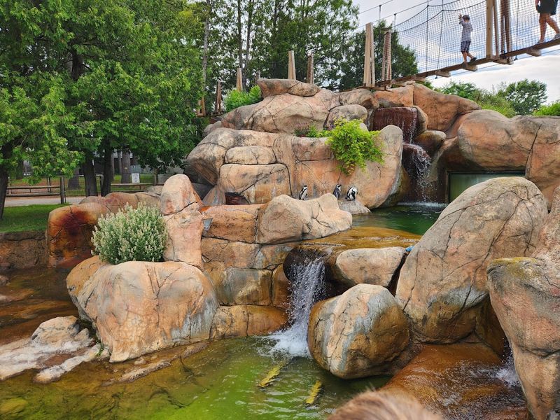 One Of The Few Zoos Not Funded By Local Taxes