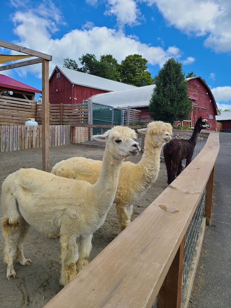 Family Friendly Facilities And Thoughtful Amenities