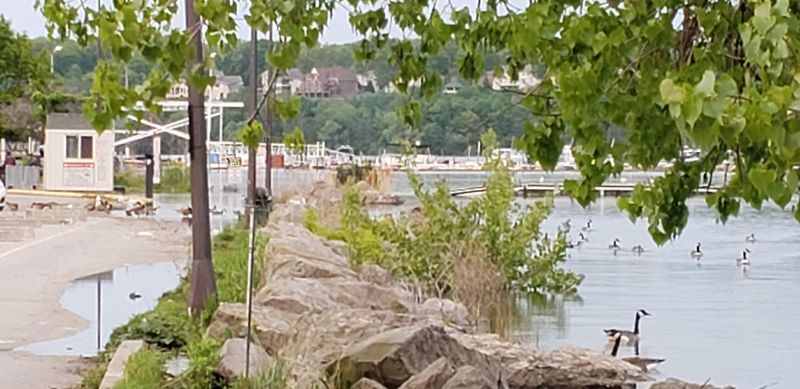 The Lakeside Setting That Makes Every Meal Feel Like A Getaway