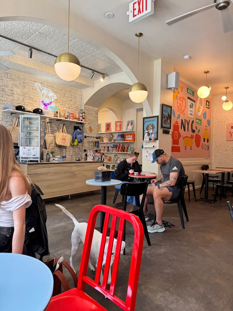 The Devocion Coffee That Makes Every Sip Worth Celebrating