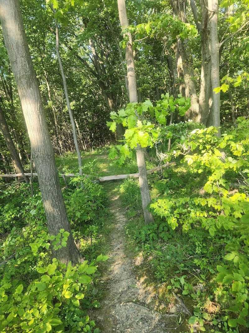 The Interloken Trail And Why Hikers Keep Coming Back For More