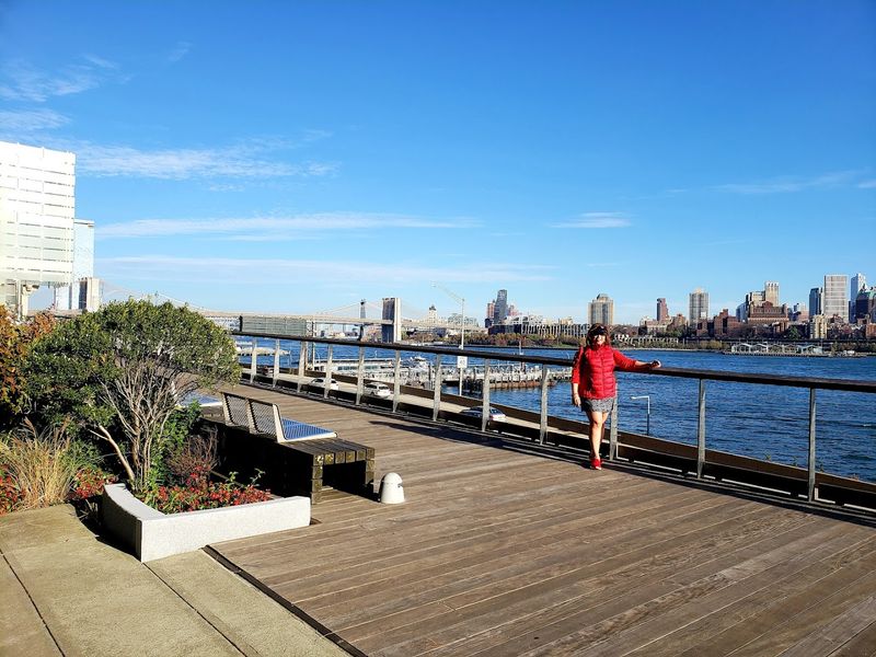 The Elevated Acre (Manhattan)