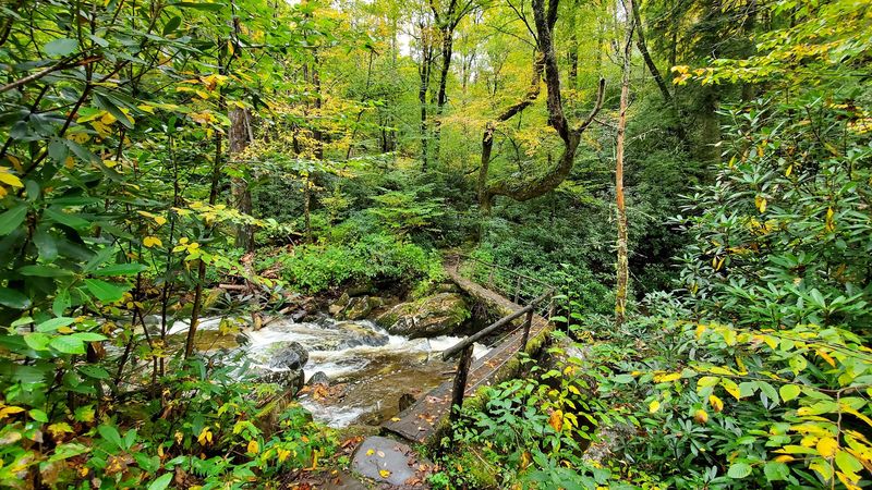 Water Crossings That Add Adventure To Every Visit