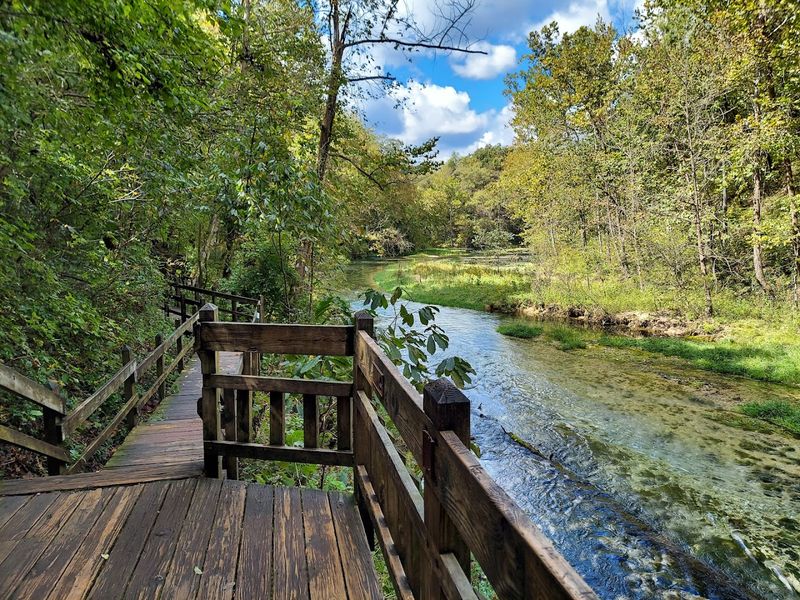 A Boardwalk Trail That Winds Through A Rare Karst Landscape