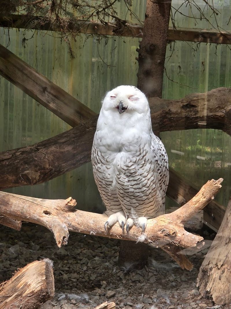 A Year-Round Zoo Open In Every Season