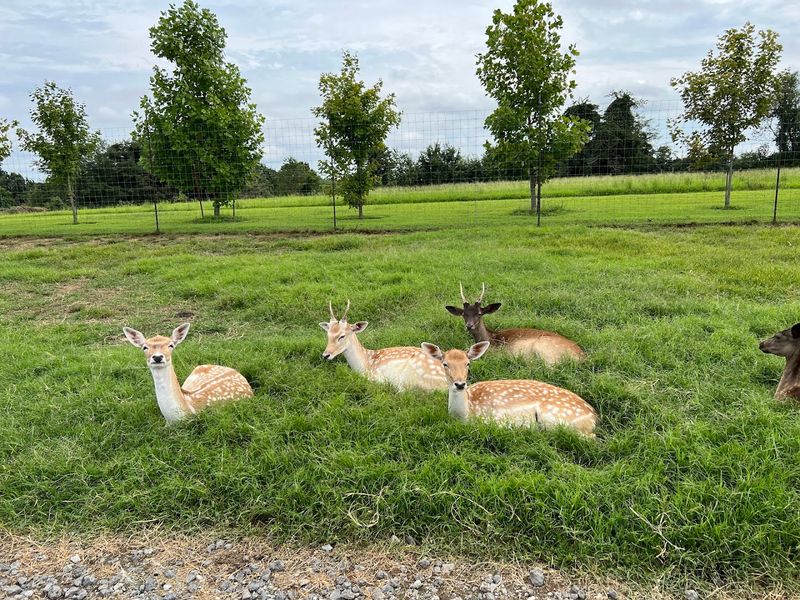 A Family Outing That Works For Every Age Group