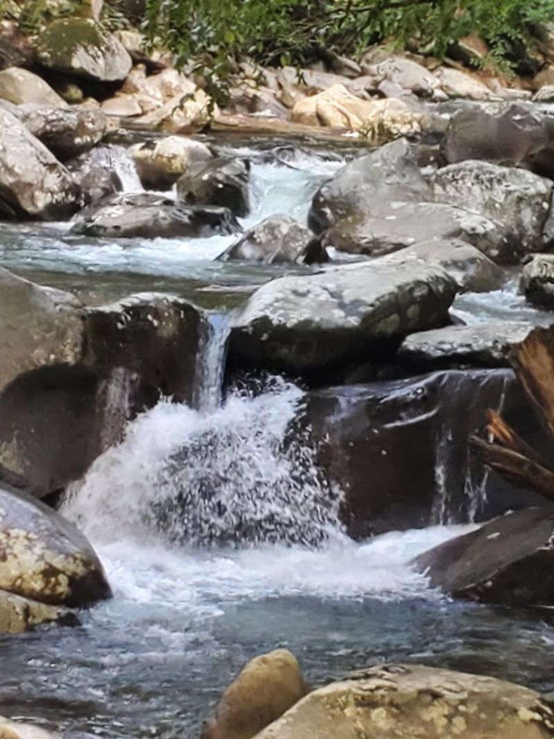 The Best Time Of Year To Visit Ramsey Cascades