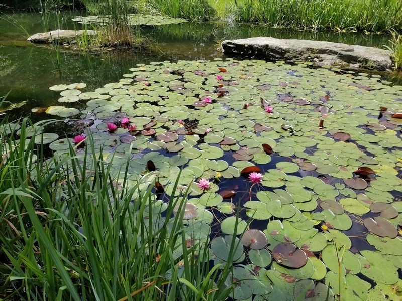 Wildlife Encounters And The Quiet Surprises Hidden Along Every Path
