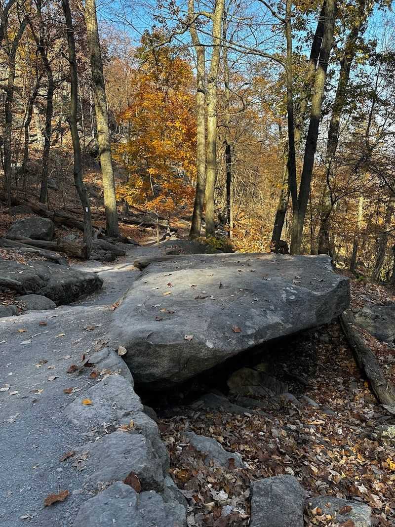 Hiking Trails For Every Comfort Level