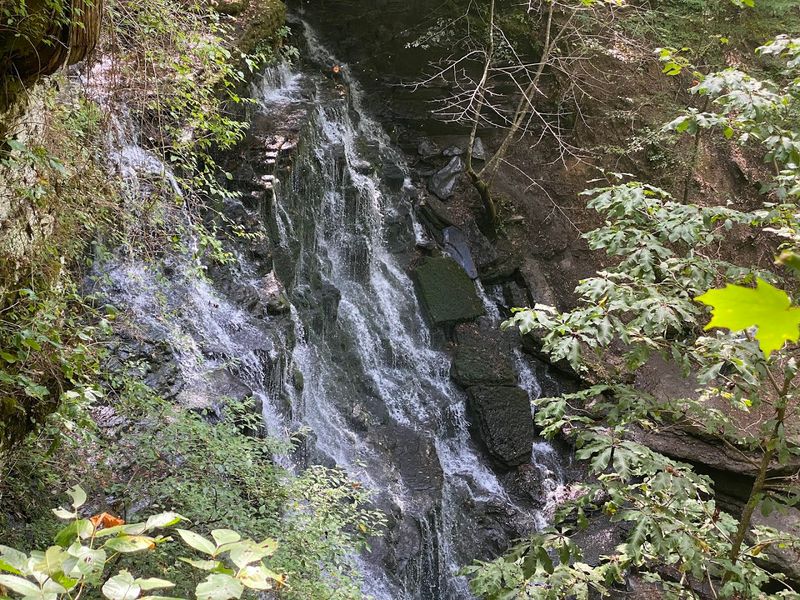 The Overlook Option For Those Who Need It