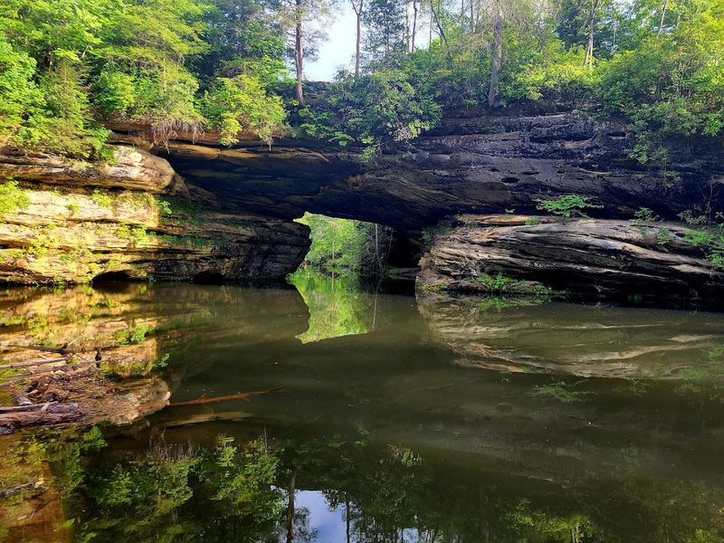 Pickett CCC Memorial State Park, Jamestown