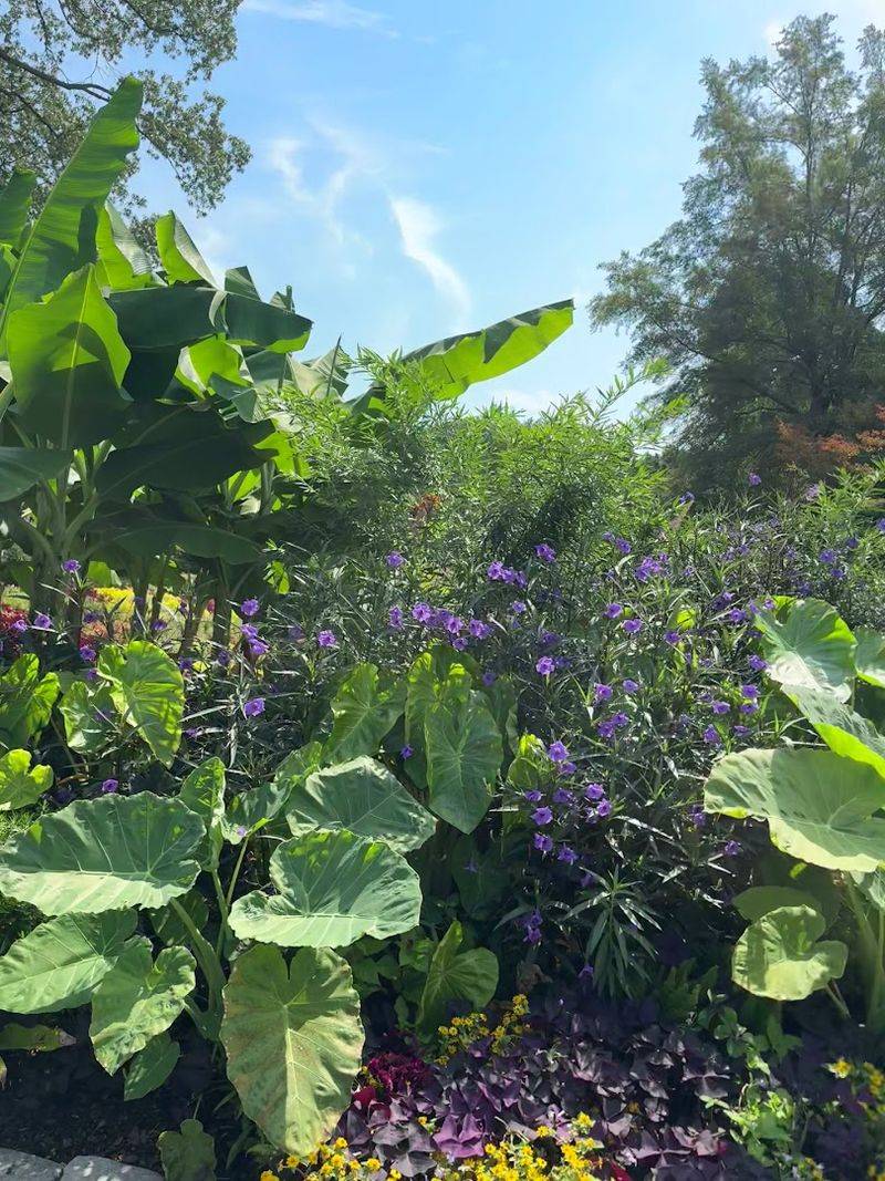 The Pollinator Garden Buzzes With Unexpected Life