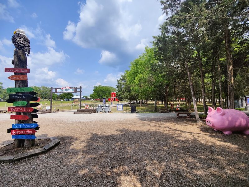 The Cedar Glade Trail That Slows The World Down