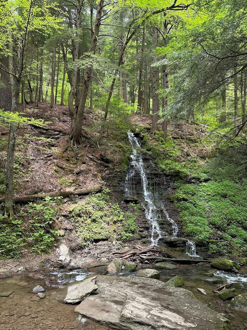 Bridal Falls, Allegany State Park