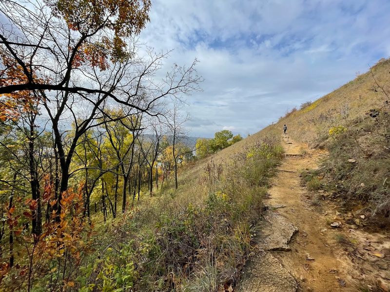 Trail Combining Forest Paths And Open Overlooks
