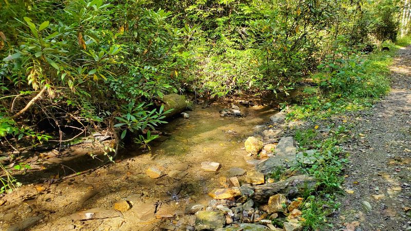 Schoolhouse Gap Trail, Townsend