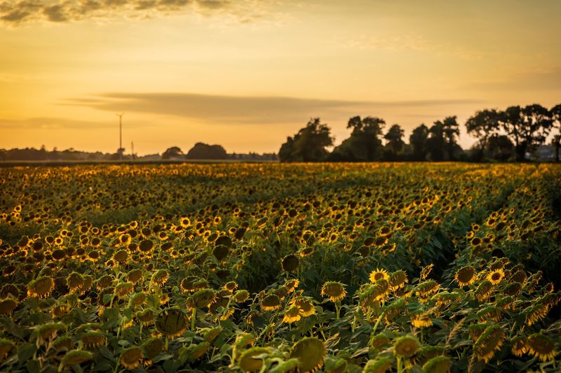 Timing Your Visit For The Best Possible Experience