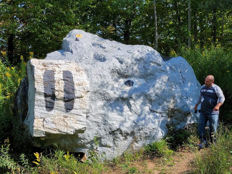 Pig Rock — Speculator