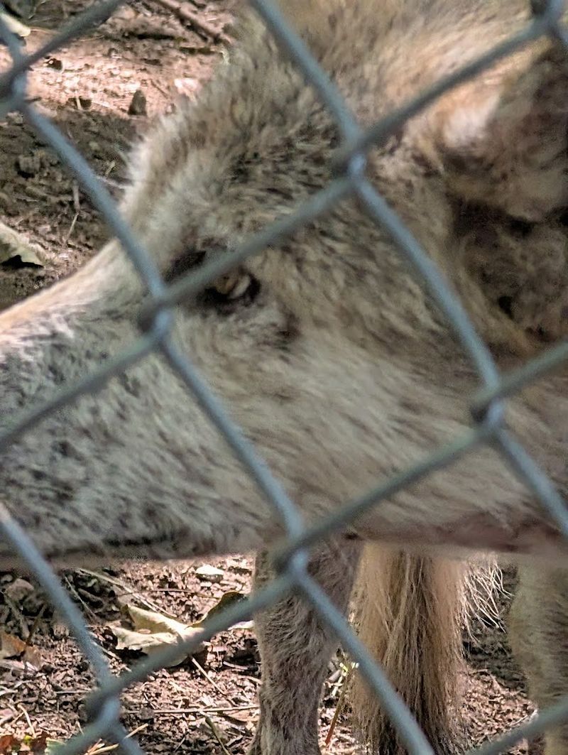 Supporting Conservation Through Tourism That Actually Matters