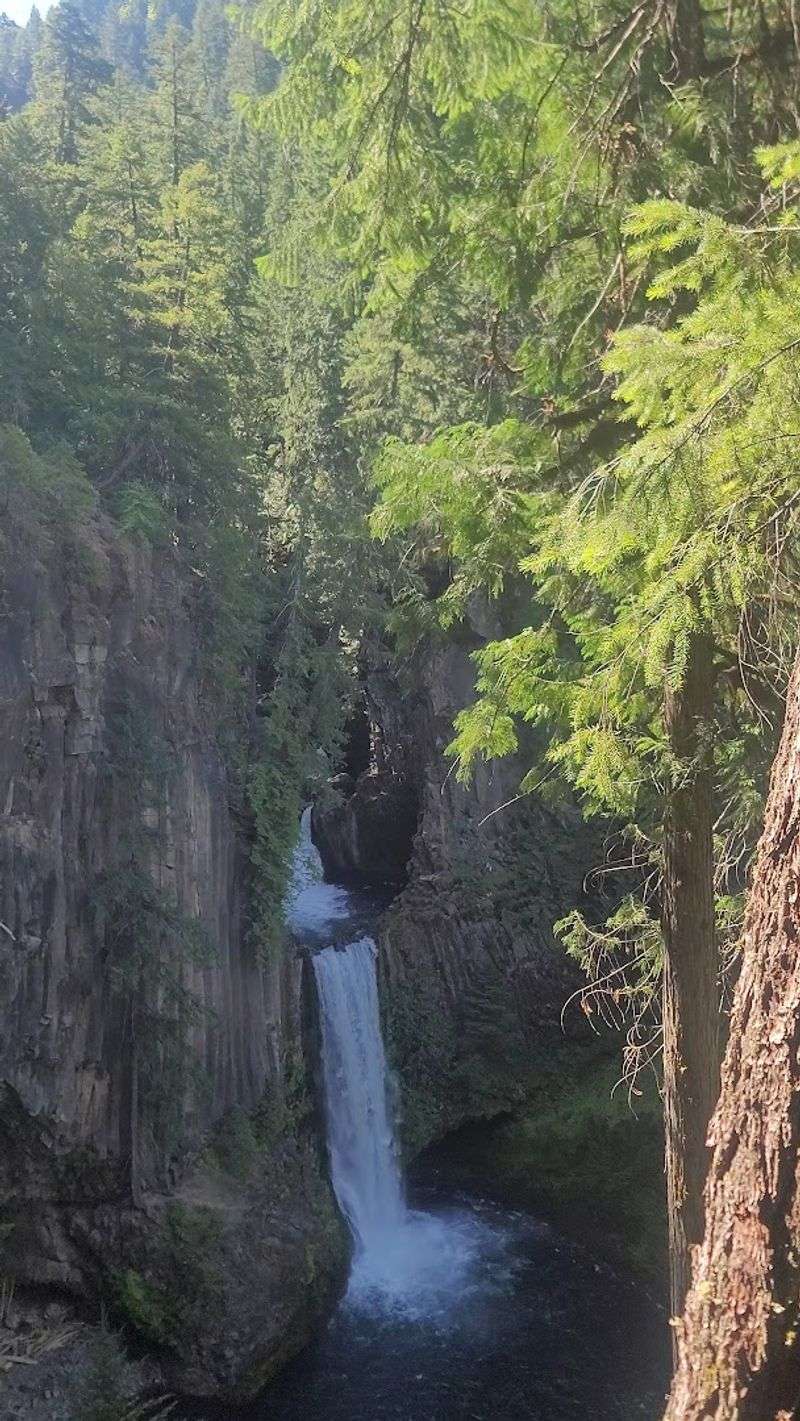 Toketee Falls