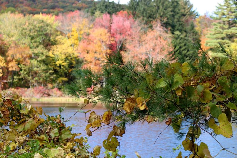 Why October Turns This Drive Into A Pilgrimage