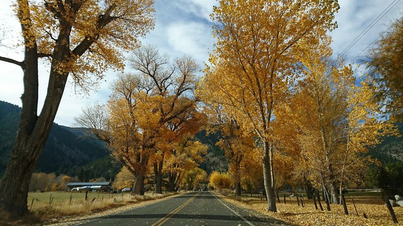 A Gateway Town For Travelers Visiting Lake Tahoe